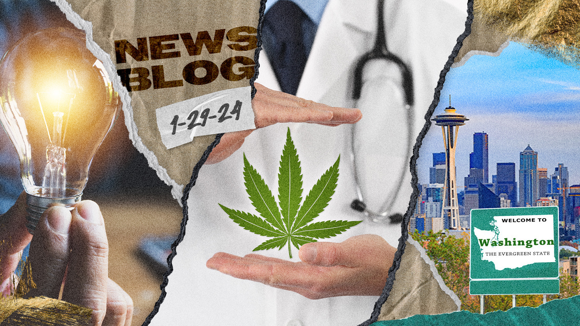 Cannabis And Empathy, Marijuana Rescheduling, & WA’s Age Restrictions