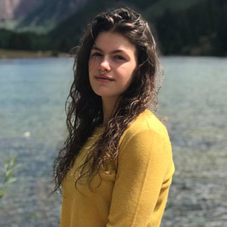 Christina D Hippensteel