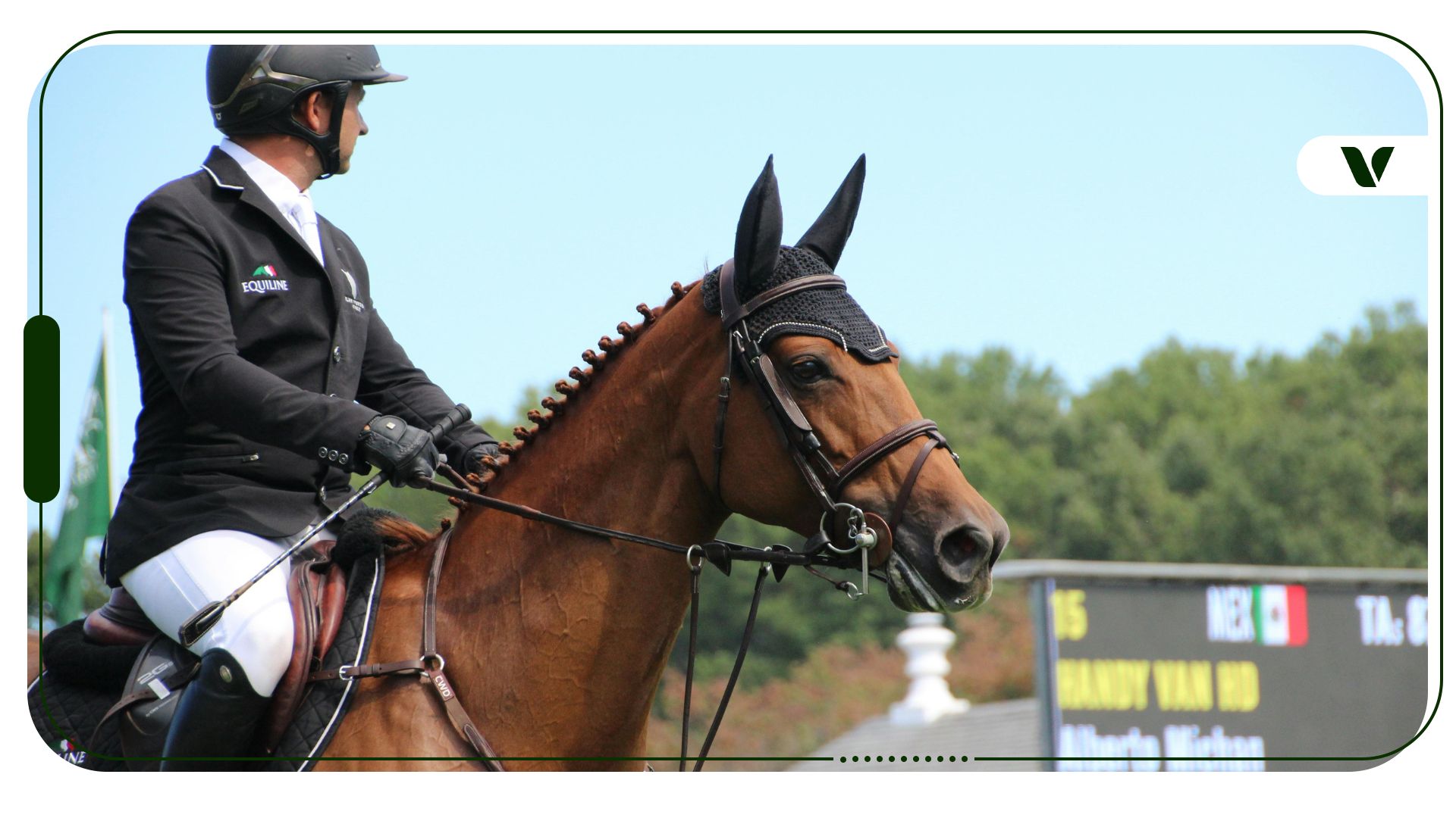 Cannabis & The Equestrian Community
