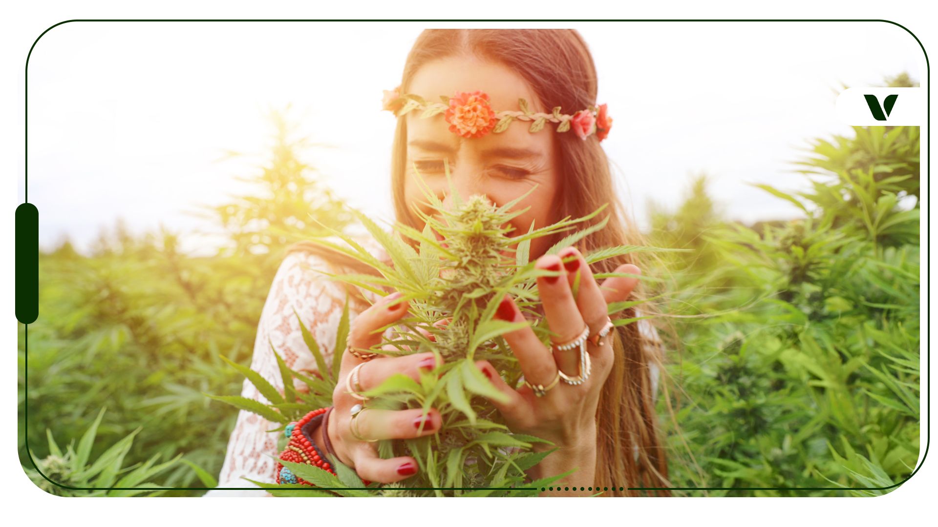 How Is Gen Z Influencing the Cannabis Industry?